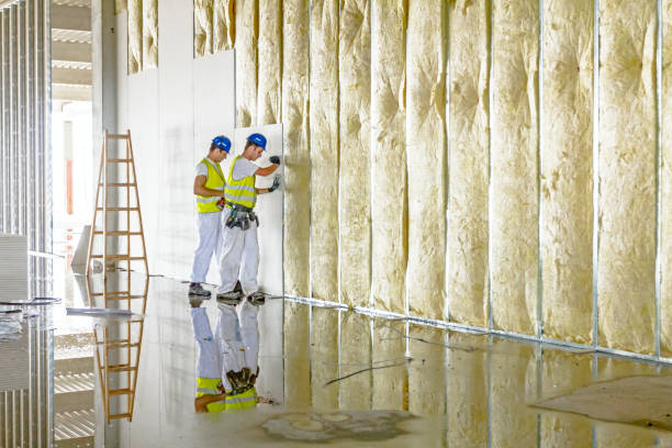 Best Residential Insulation in Duquesne, PA